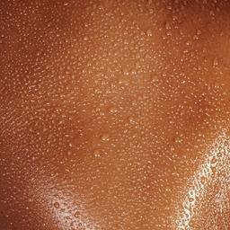 BLACK FRIDAY: 4 Contouring Sessions